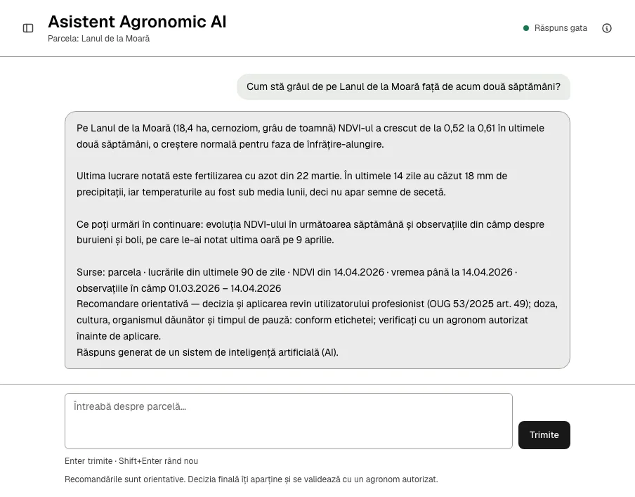 Ecranul Asistent AI: întrebarea despre grâul de pe o parcelă și răspunsul, cu NDVI-ul, vremea și lucrările folosite, sursele la vedere și mențiunea că răspunsul este generat de AI
